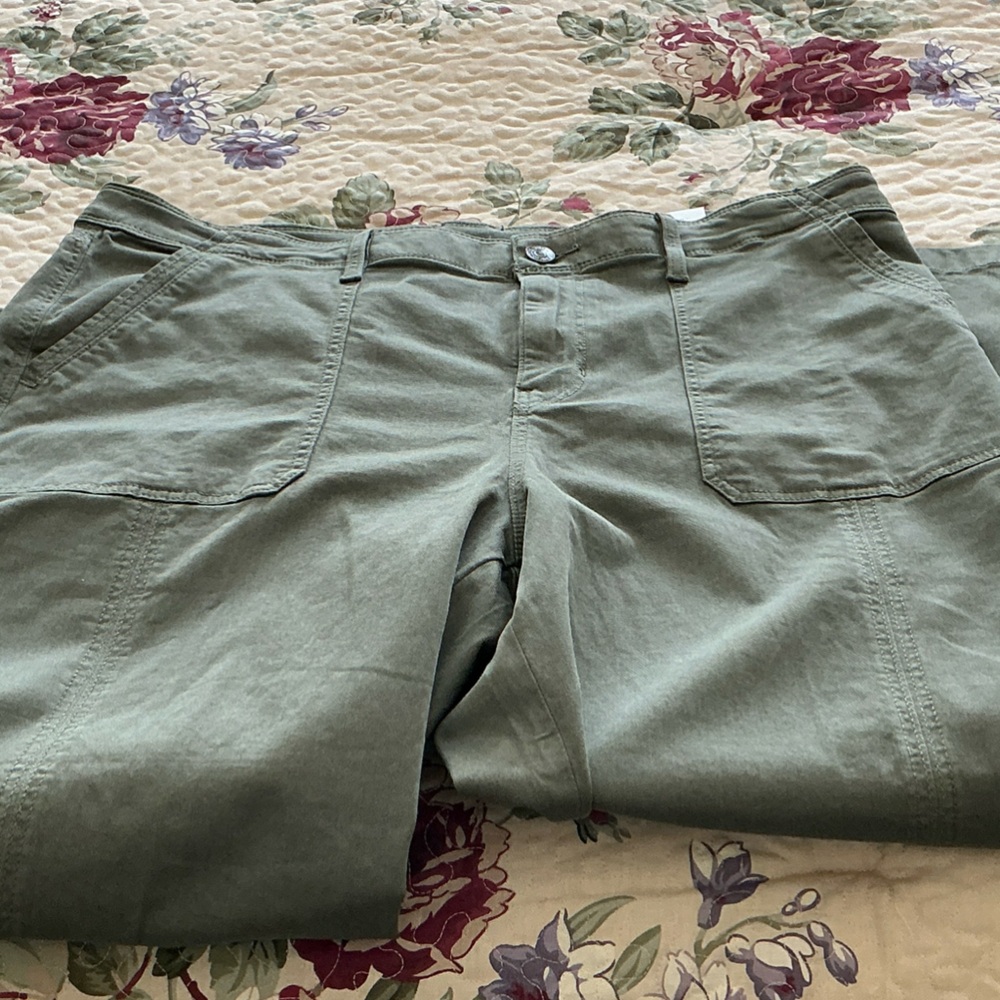 Chico's NWT SIZE 2 DARK MOSS ANKLE PANTS WITH FLEX WAIST
